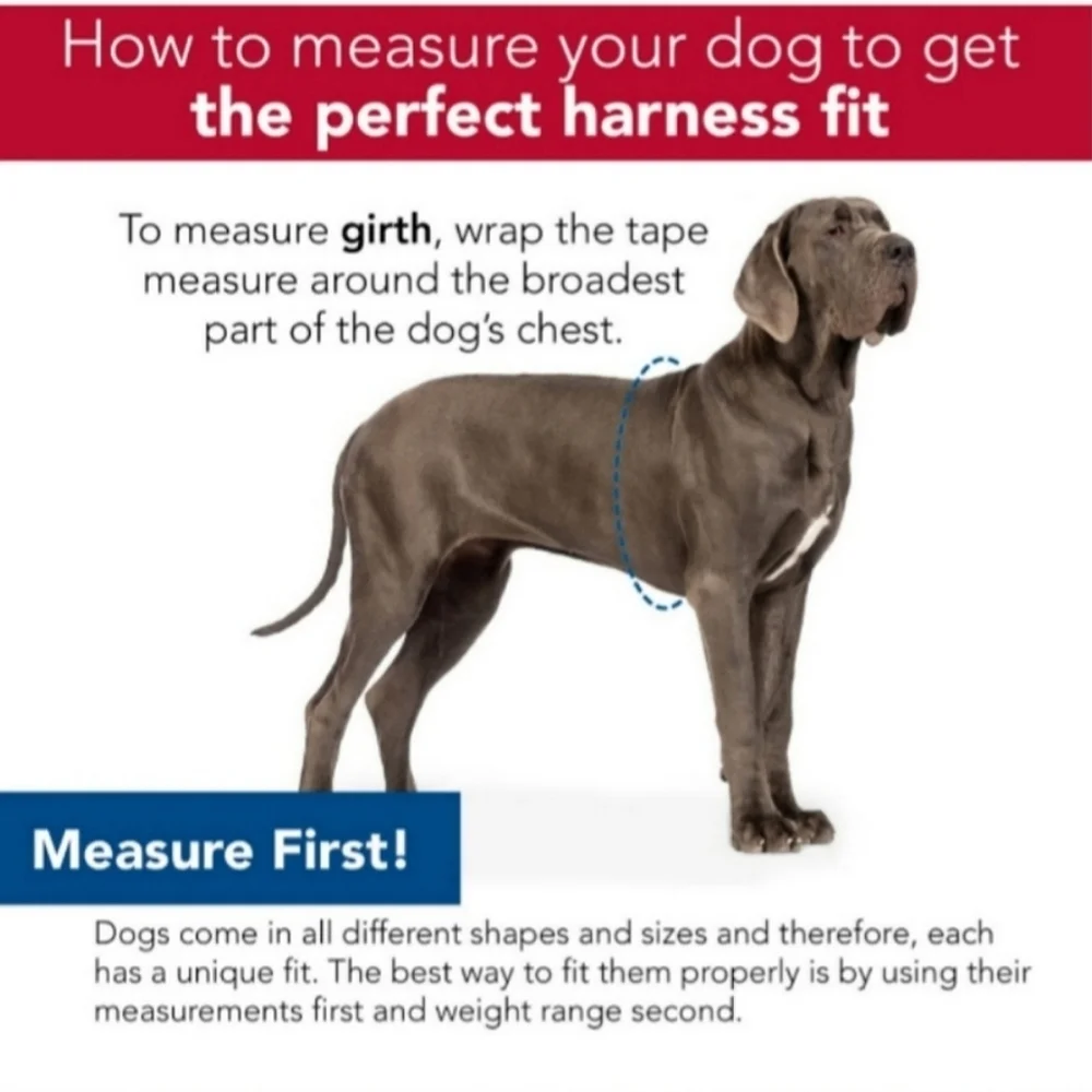 Dog Harness Size XL